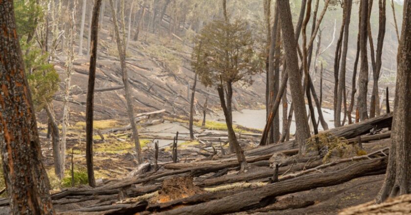 Brigadistas lograron controlar el incendio forestal en la zona del rio Lainez
