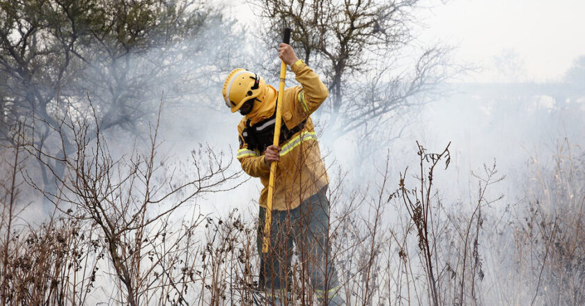 Incendios forestales: cuatro provincias mantienen focos activos