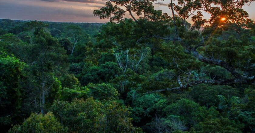 Proyectos chinos afectan a comunidades y medio ambiente de Latinoamérica