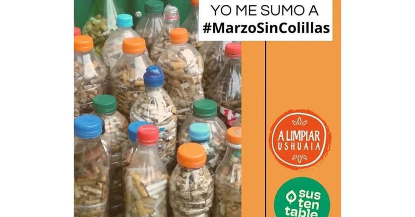 Se recolectaron más de 250 mil colillas en solo tres semanas