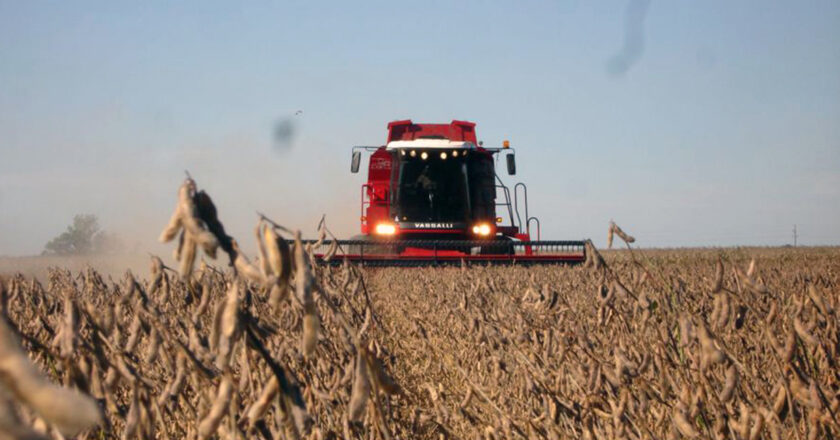 Dólar soja: el Gobierno avanzó con la reglamentación y aclaró como funcionará