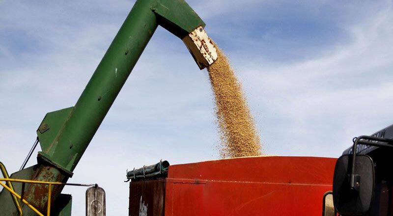 El Gobierno nacional estableció nuevos requisitos para que las economías regionales se sumen al programa de incremento exportador