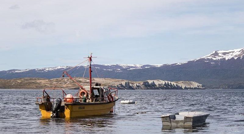 ArgenWolf va a procesar bivalvos de Almanza