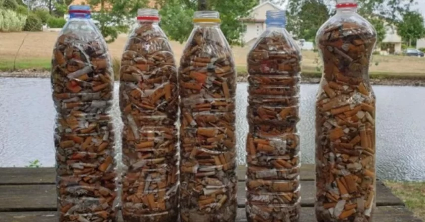 En tres semanas se recolectaron más de 250 mil colillas