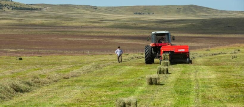 «Desde el inicio de la gestión acompañamos a más del 70 de la MiPyMES Fueguinas con herramientas financieras»