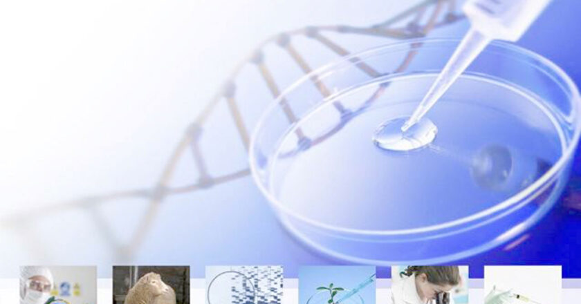 La biotecnología genera exportaciones de alto valor
