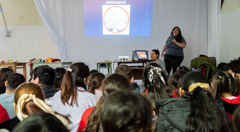 Programa de gestión integral de riesgo escolar