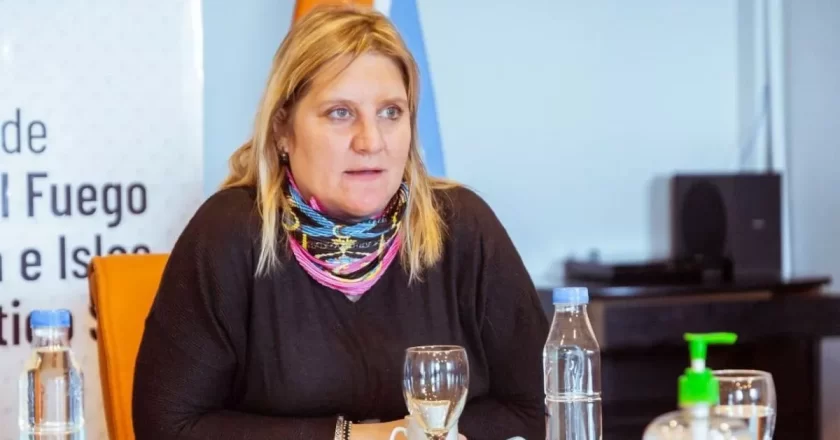 “El sistema de salud tiene un gran movimiento de ingresos y egresos”, aseguró Di Giglio