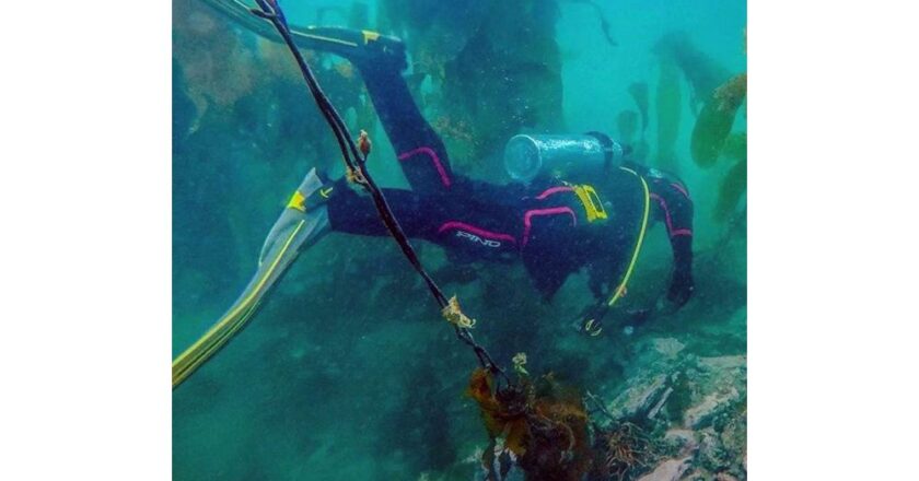 Descubriendo las maravillas del buceo en el Canal Beagle