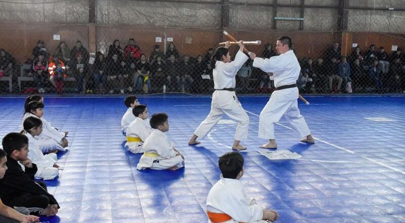 La exhibición de artes marciales convocó a niños, jóvenes y adultos