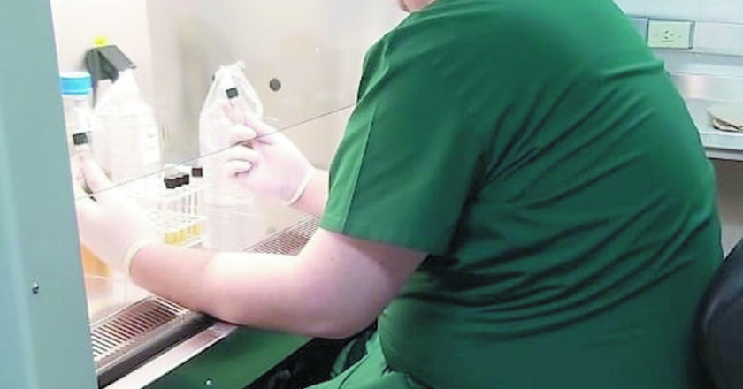 Detección gratuita de hepatitis C