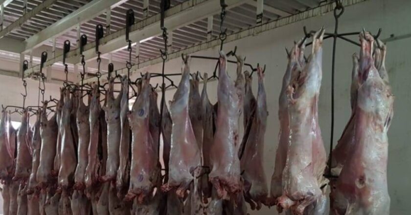 Municipio denunció por amenazas a un productor agropecuario por incidente en el matadero