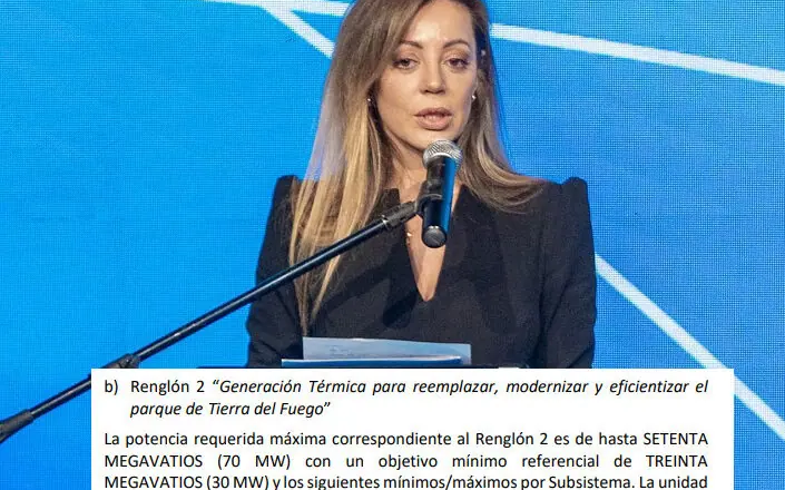 Energía eléctrica. Nación anunció convocatoria para ampliar el parque de generación de Tierra del Fuego