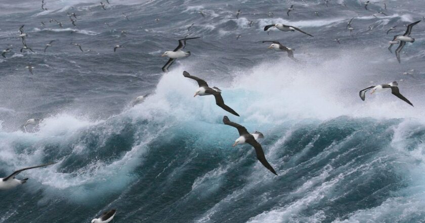 El mar alcanza temperatura récord en España