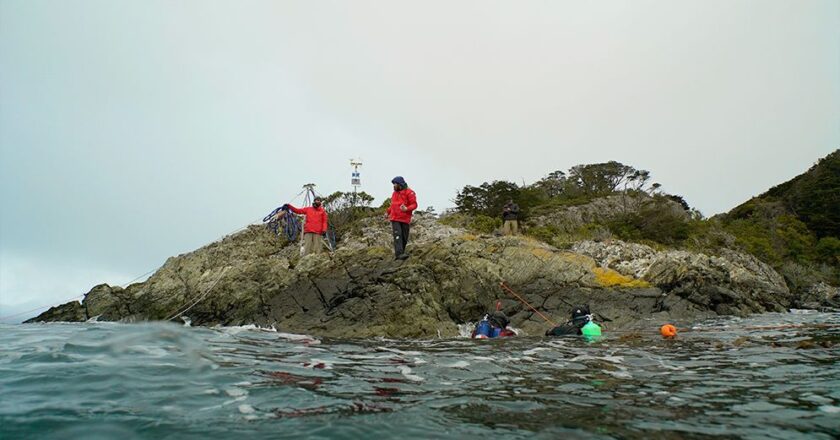 Inauguraron la Red de Observación Marina Argentina en el Canal Beagle
