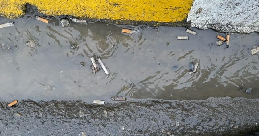 Medioambiente: Lo que el agua se lleva…