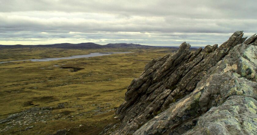 Nación busca crear un Parque Nacional en las Islas Malvinas