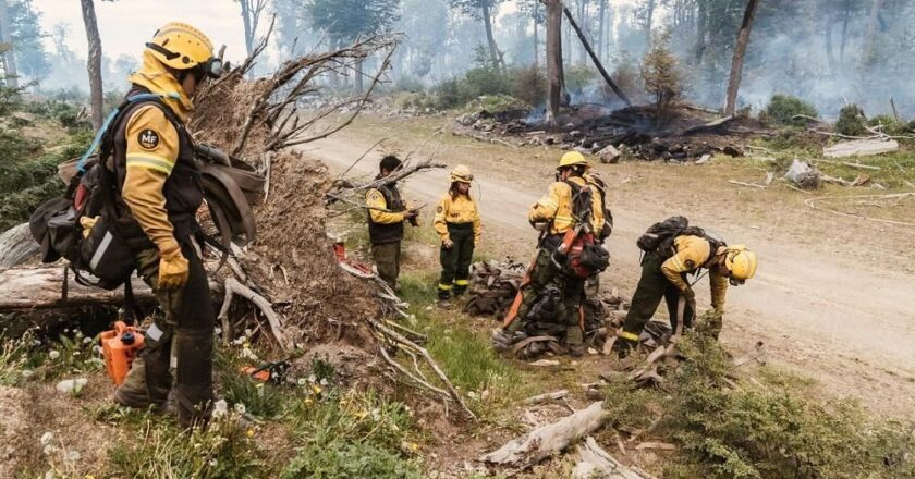 Dos procesados por el incendio forestal en el Corazón de la Isla