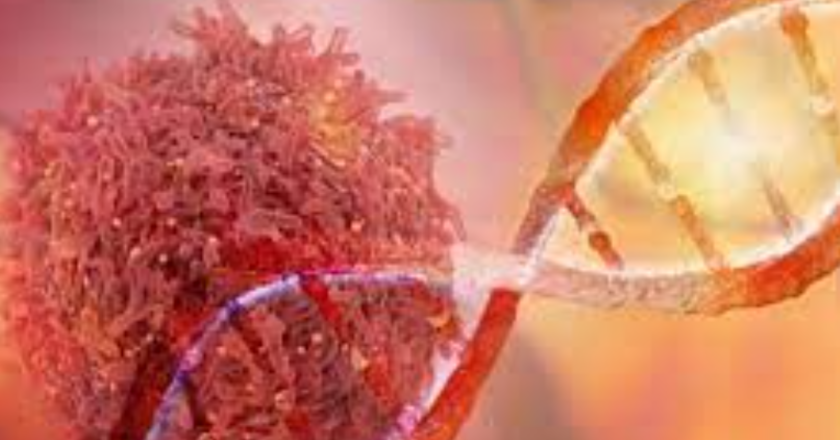 Cuánto incide la herencia genética en el desarrollo de cáncer