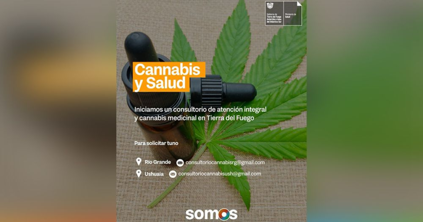Ya funciona el consultorio cannábico con fines medicinales