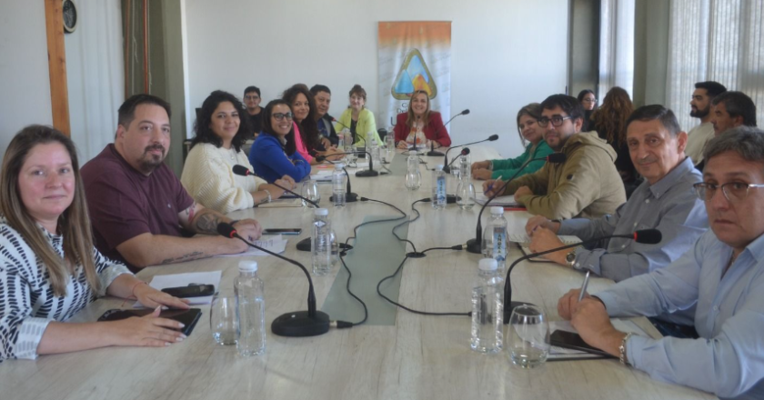 El Concejo de Ushuaia definió la agenda de las comisiones temáticas