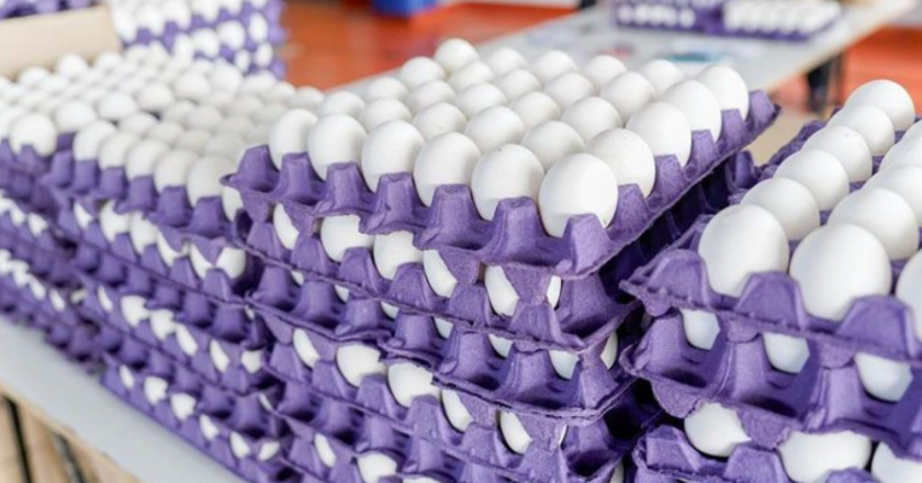 Precios más accesibles Nueva edición de “Tu Mercado TDF”