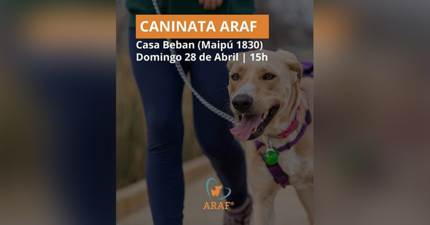 ARAF invita a una nueva ‘Caninata’ por el Día del Animal