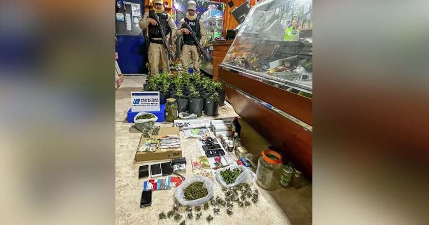 Prefectura desbarató un “kiosco” de marihuana en Río Grande