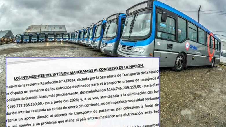 Subsidios /Intendentes de todo el país marchan al Congreso para reclamar por el transporte público