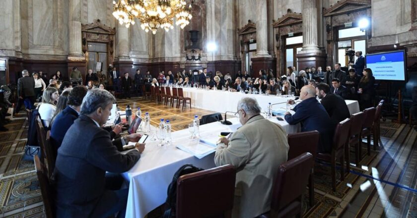 Intenso debate y poroteo en el Senado por las facultades delegadas