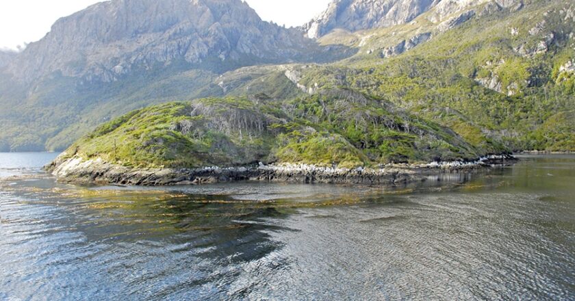 Instalarán una base científica con presencia permanente en Isla de los Estados