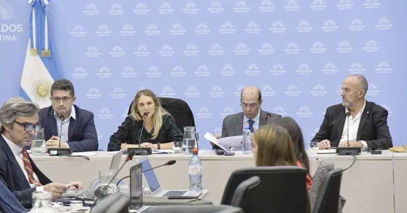 El veto ingresó a Diputados